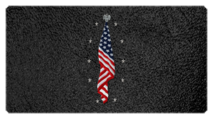 DSC700 421 SH BK Flag at Rest Shimmer Black